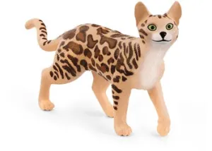 Bengal Cat