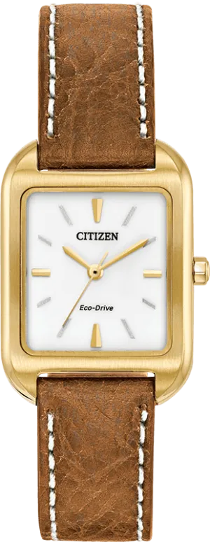 Citizen Eco Drive Chandler Women's Watch EM0492-02A