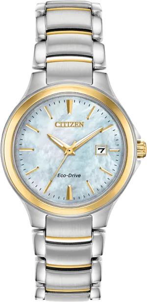 Citizen Eco Drive Chandler Women's Watch EW2524-55N