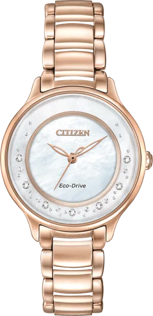 Citizen Eco Drive Citizen L Circle Of Time Women's Watch EM0382-86D