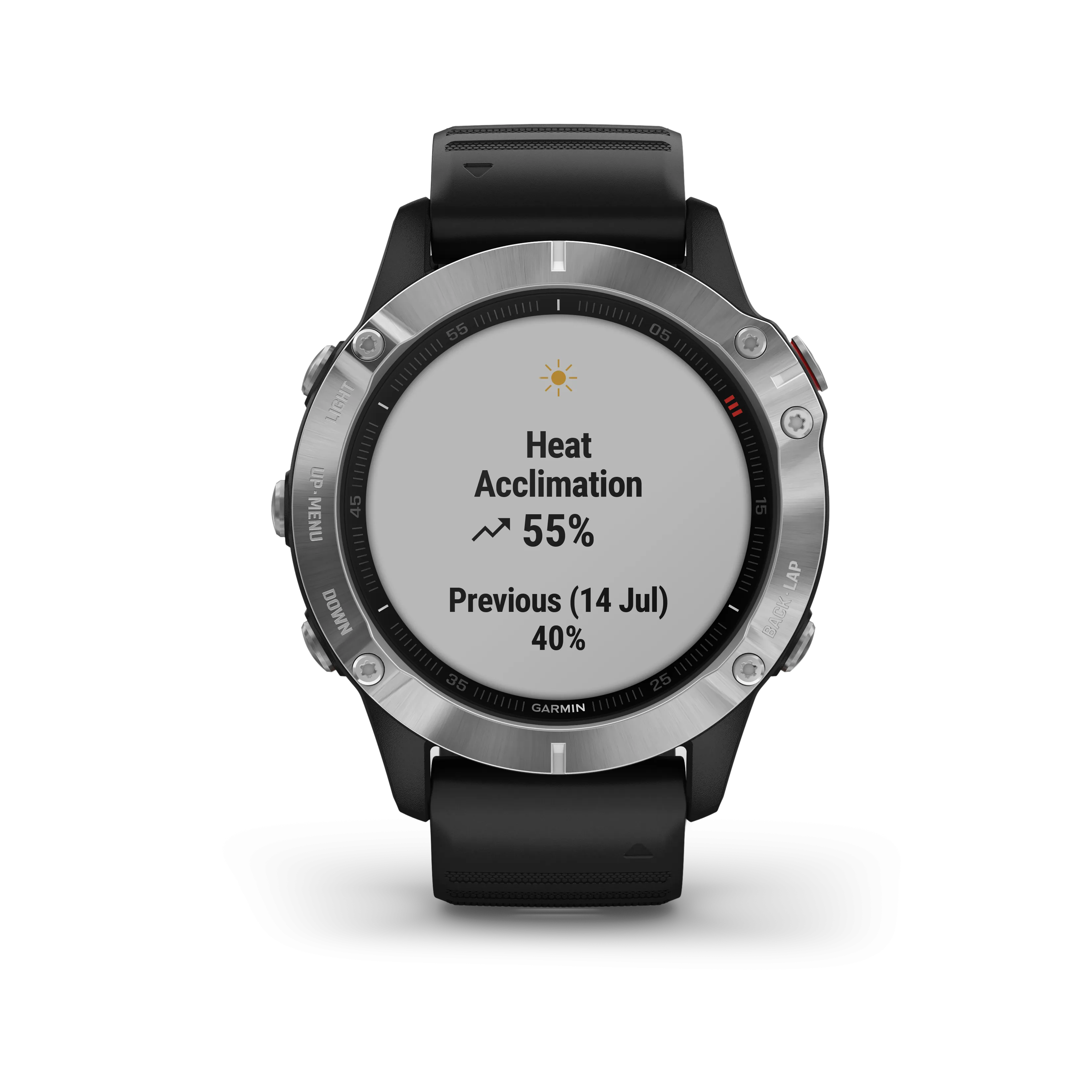 Garmin Fenix 6 Silver with Black Band Included Wearable4U Power Pack Bundle