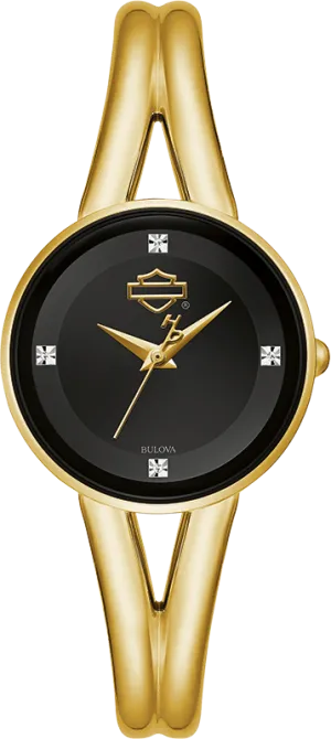 Harley Davidson Men's Watch 77P100