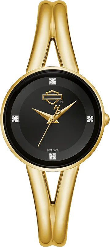Harley Davidson Men's Watch 77P100