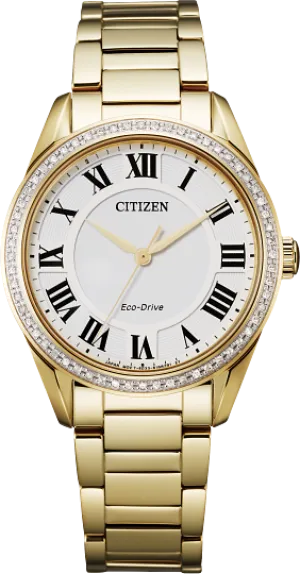 Ladies Eco-Drive