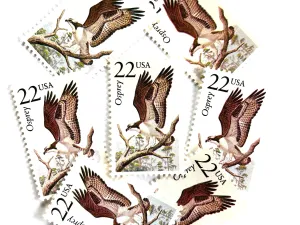 Osprey Stamps (North American Wildlife Series, Multicolored) Vintage Unused USPS Postage 22c