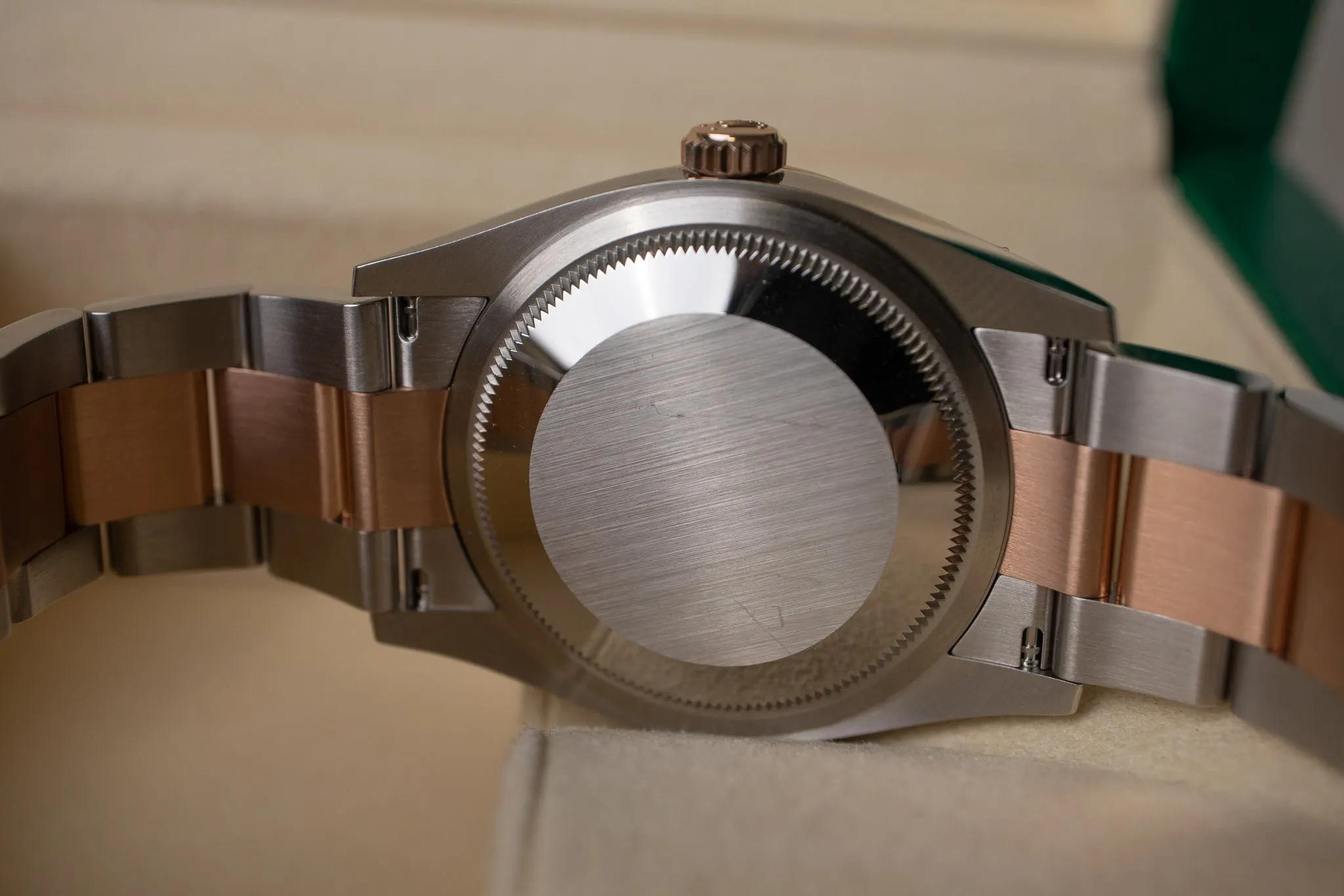 Rolex Datejust 36 Palm Dial 126231